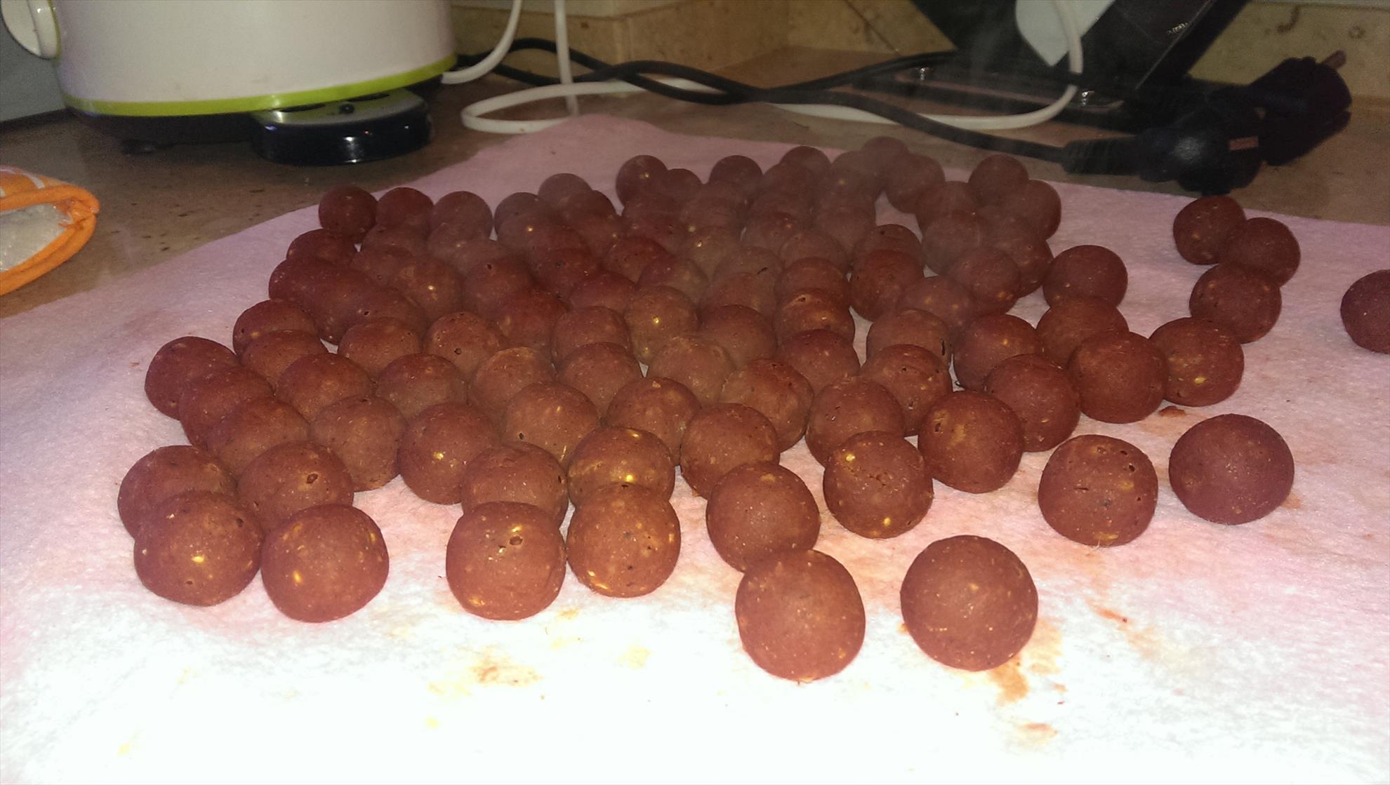 Pregatiri Carpbook ed.II - imag1228.jpg